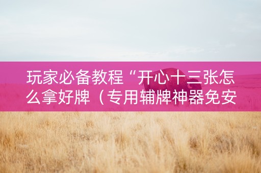 玩家必备教程“开心十三张怎么拿好牌（专用辅牌神器免安装）