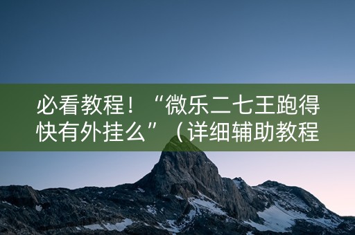 必看教程！“微乐二七王跑得快有外挂么”（详细辅助教程）-哔哩哔哩