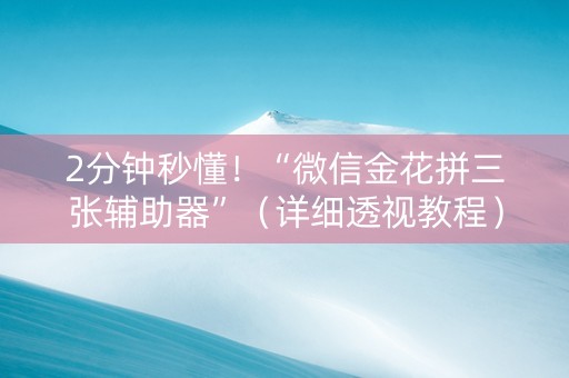 2分钟秒懂！“微信金花拼三张辅助器”（详细透视教程）-哔哩哔哩