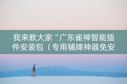 我来教大家“广东雀神智能插件安装包（专用辅牌神器免安装）