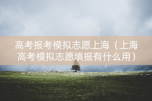 高考报考模拟志愿上海（上海高考模拟志愿填报有什么用）