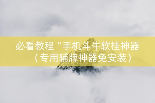 必看教程“手机斗牛软挂神器（专用辅牌神器免安装）