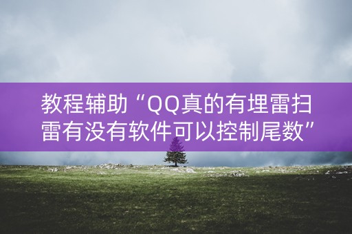 教程辅助“QQ真的有埋雷扫雷有没有软件可以控制尾数”（详细透视教程）-哔哩哔哩
