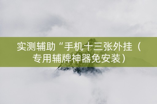 实测辅助“手机十三张外挂（专用辅牌神器免安装）