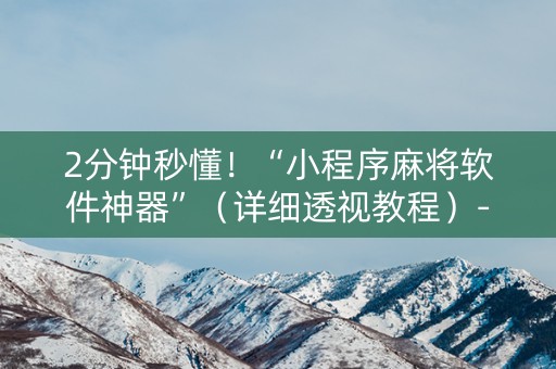 2分钟秒懂！“小程序麻将软件神器”（详细透视教程）-哔哩哔哩
