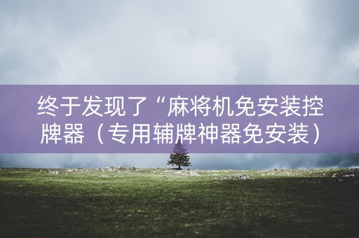 终于发现了“麻将机免安装控牌器（专用辅牌神器免安装）