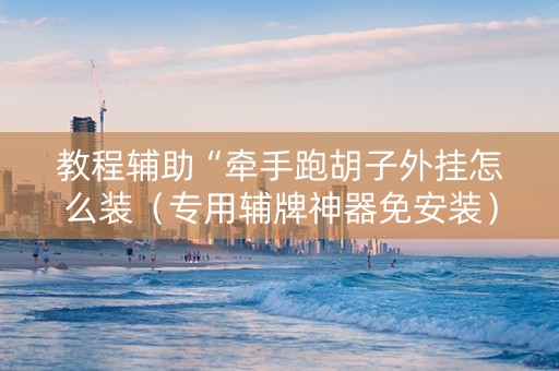 教程辅助“牵手跑胡子外挂怎么装（专用辅牌神器免安装）