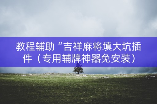 教程辅助“吉祥麻将填大坑插件（专用辅牌神器免安装）