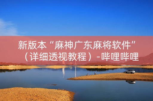 新版本“麻神广东麻将软件”（详细透视教程）-哔哩哔哩