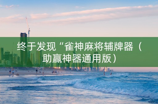 终于发现“雀神麻将辅牌器（助赢神器通用版）