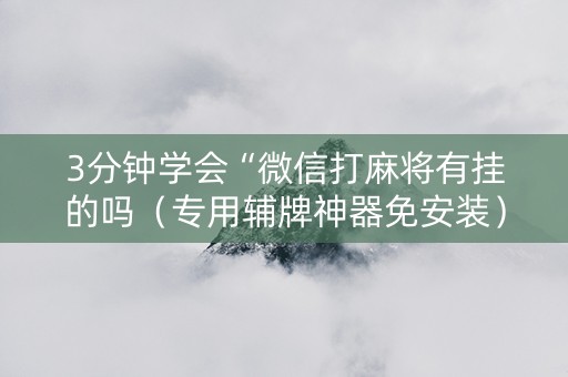 3分钟学会“微信打麻将有挂的吗（专用辅牌神器免安装）