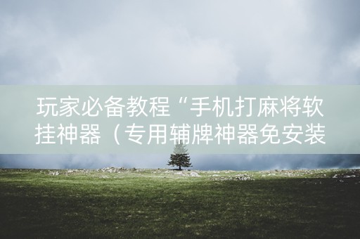 玩家必备教程“手机打麻将软挂神器（专用辅牌神器免安装）