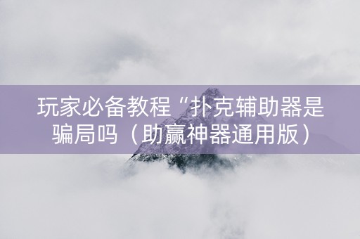 玩家必备教程“扑克辅助器是骗局吗（助赢神器通用版）