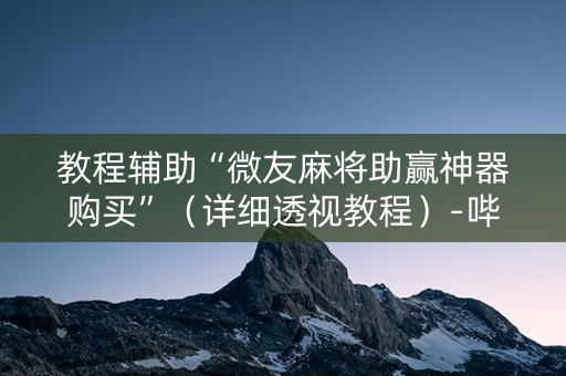 教程辅助“微友麻将助赢神器购买”（详细透视教程）-哔哩哔哩