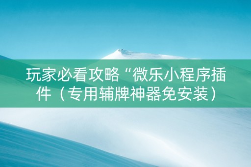 玩家必看攻略“微乐小程序插件（专用辅牌神器免安装）