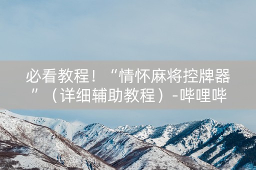 必看教程！“情怀麻将控牌器”（详细辅助教程）-哔哩哔哩