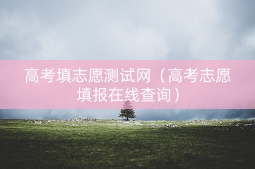 高考填志愿测试网（高考志愿填报在线查询）