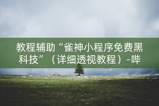 教程辅助“雀神小程序免费黑科技”（详细透视教程）-哔哩哔哩