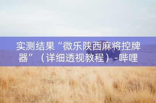 实测结果“微乐陕西麻将控牌器”（详细透视教程）-哔哩哔哩