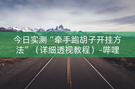 今日实测“牵手跑胡子开挂方法”（详细透视教程）-哔哩哔哩