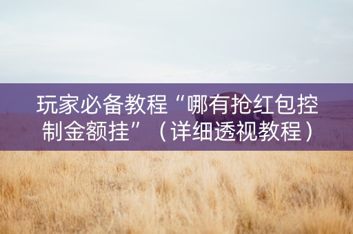 玩家必备教程“哪有抢红包控制金额挂”（详细透视教程）-哔哩哔哩