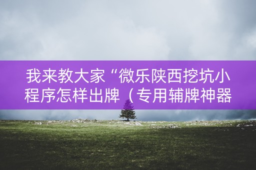 我来教大家“微乐陕西挖坑小程序怎样出牌（专用辅牌神器免安装）