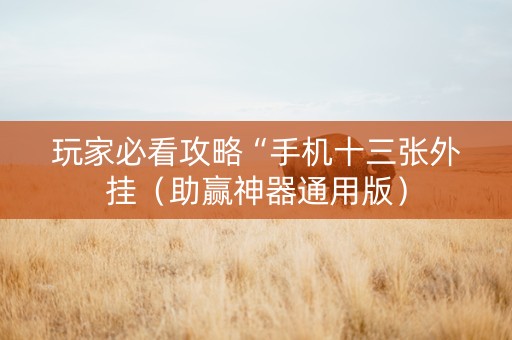 玩家必看攻略“手机十三张外挂（助赢神器通用版）