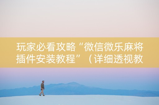 玩家必看攻略“微信微乐麻将插件安装教程”（详细透视教程）-哔哩哔哩