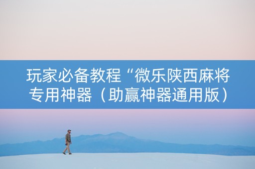 玩家必备教程“微乐陕西麻将专用神器（助赢神器通用版）