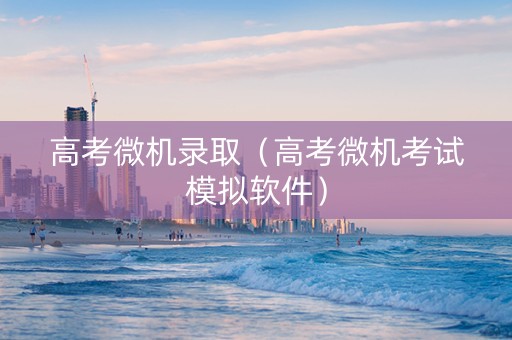 高考微机录取（高考微机考试模拟软件）
