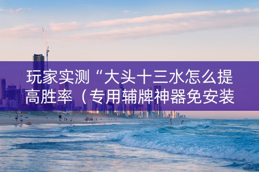 玩家实测“大头十三水怎么提高胜率（专用辅牌神器免安装）