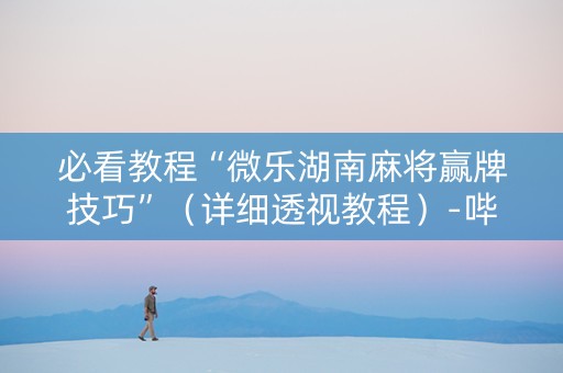 必看教程“微乐湖南麻将赢牌技巧”（详细透视教程）-哔哩哔哩