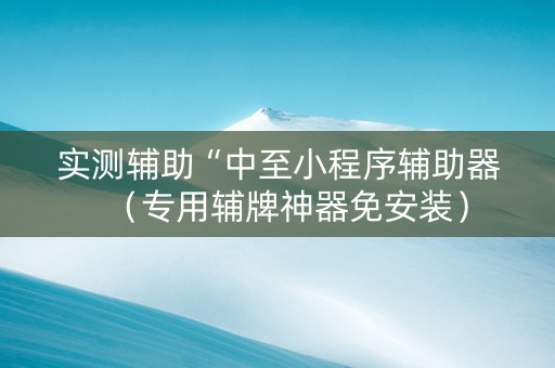 实测辅助“中至小程序辅助器（专用辅牌神器免安装）