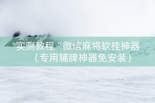 实测教程“微信麻将软挂神器（专用辅牌神器免安装）