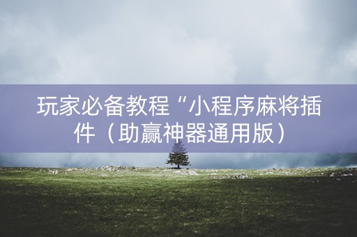 玩家必备教程“小程序麻将插件（助赢神器通用版）