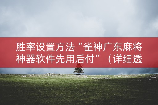 胜率设置方法“雀神广东麻将神器软件先用后付”（详细透视教程）-哔哩哔哩