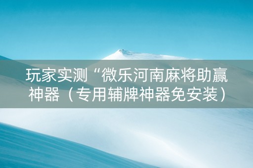 玩家实测“微乐河南麻将助赢神器（专用辅牌神器免安装）