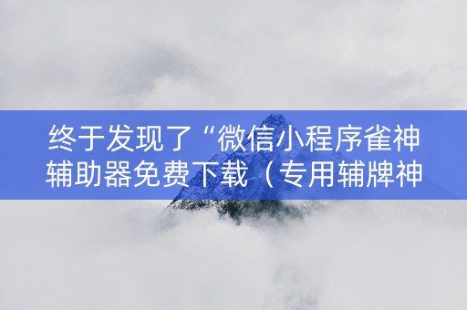 终于发现了“微信小程序雀神辅助器免费下载（专用辅牌神器免安装）