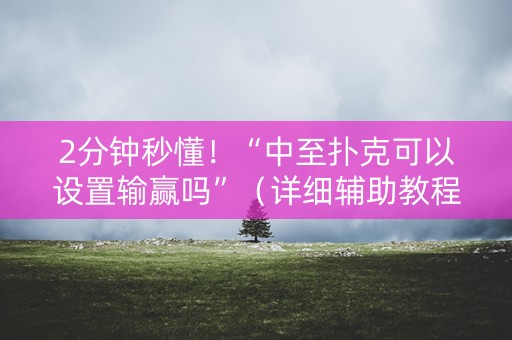 2分钟秒懂！“中至扑克可以设置输赢吗”（详细辅助教程）-哔哩哔哩