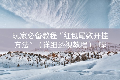 玩家必备教程“红包尾数开挂方法”（详细透视教程）-哔哩哔哩