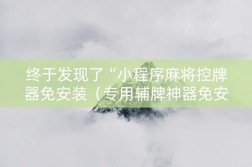 终于发现了“小程序麻将控牌器免安装（专用辅牌神器免安装）