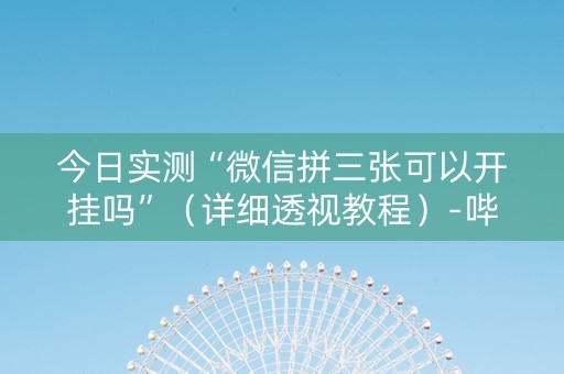 今日实测“微信拼三张可以开挂吗”（详细透视教程）-哔哩哔哩