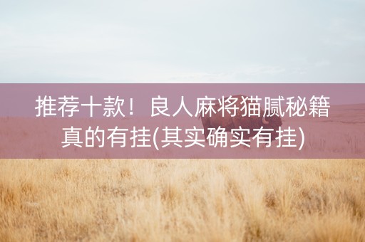 推荐十款！良人麻将猫腻秘籍真的有挂(其实确实有挂)