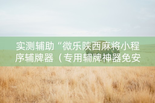 实测辅助“微乐陕西麻将小程序辅牌器（专用辅牌神器免安装）