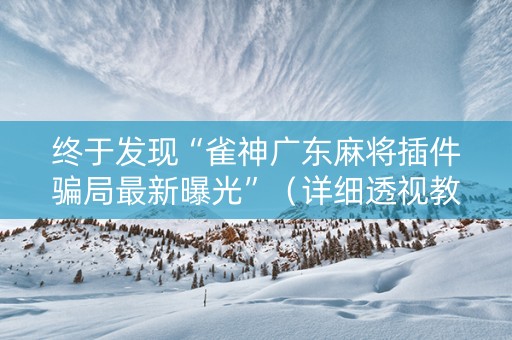 终于发现“雀神广东麻将插件骗局最新曝光”（详细透视教程）-哔哩哔哩
