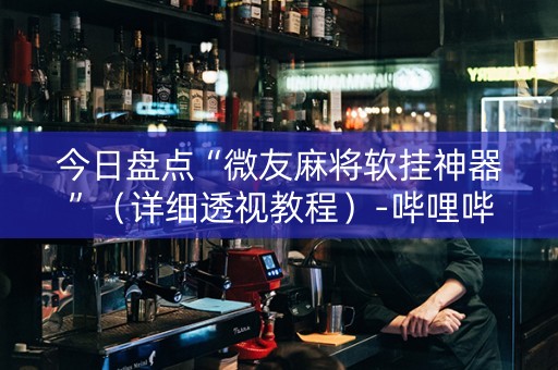 今日盘点“微友麻将软挂神器”（详细透视教程）-哔哩哔哩
