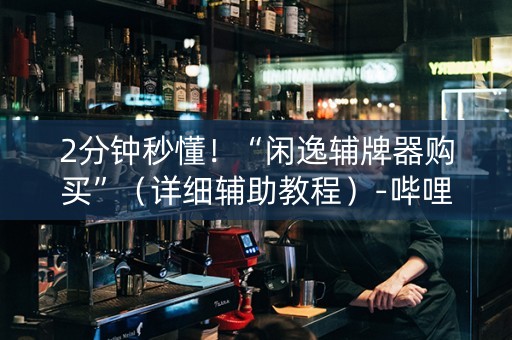 2分钟秒懂！“闲逸辅牌器购买”（详细辅助教程）-哔哩哔哩