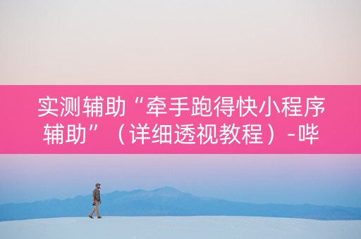 实测辅助“牵手跑得快小程序辅助”（详细透视教程）-哔哩哔哩