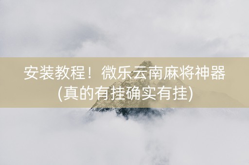 安装教程！微乐云南麻将神器(真的有挂确实有挂)