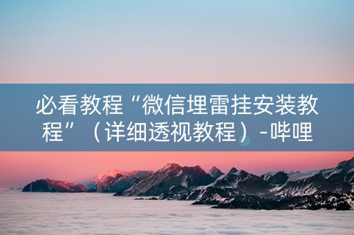 必看教程“微信埋雷挂安装教程”（详细透视教程）-哔哩哔哩